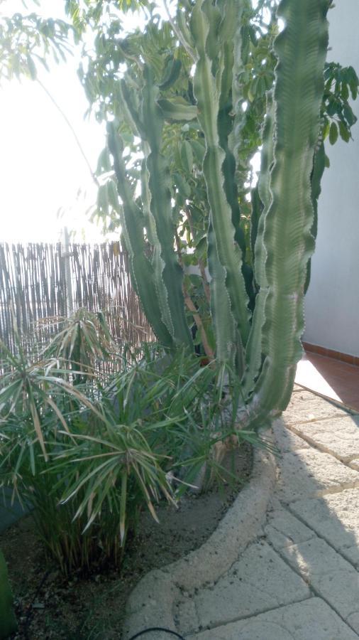 Apartamento Pardela Costa Adeje  Kültér fotó